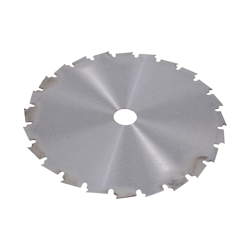 Disk 24t Tip
